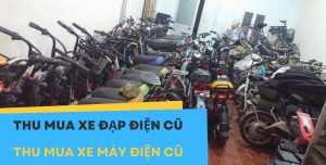 thu mua xe đạp điện cũ, thu mua xe máy điện cũ giá cao