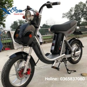 xe đạp điện Nijia cũ mau đen