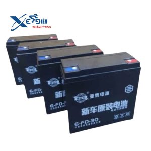 Bình Ắc Quy Xe Đạp Điện 48V – 30Ah Chính Hãng