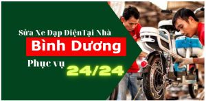 sửa xe đạp điện bình dương