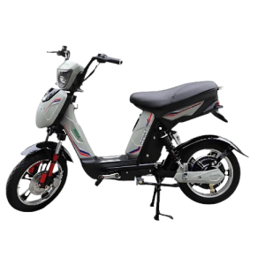 xe đạp điện Cap-A/T chính hãng PEGA